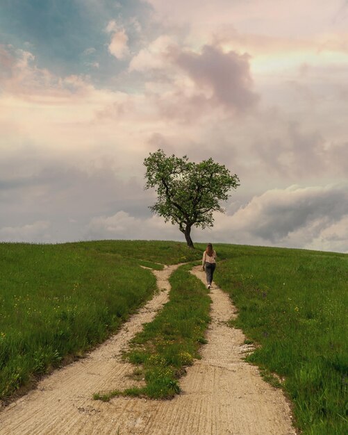 Foto vista trasera de una mujer caminando por el sendero contra el cielo nublado