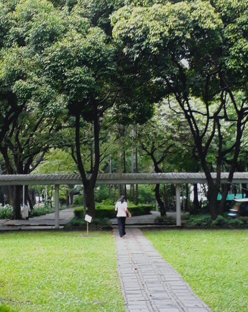 Foto vista trasera de una mujer caminando por un sendero en un parque