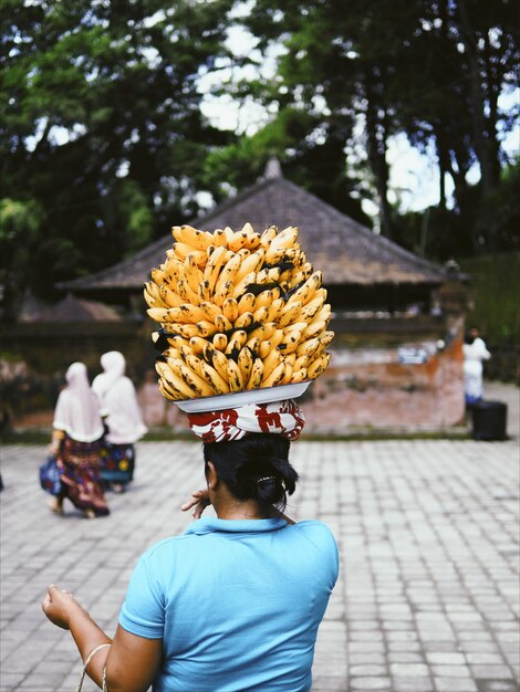 Foto vista trasera de una mujer con una canasta de árbol