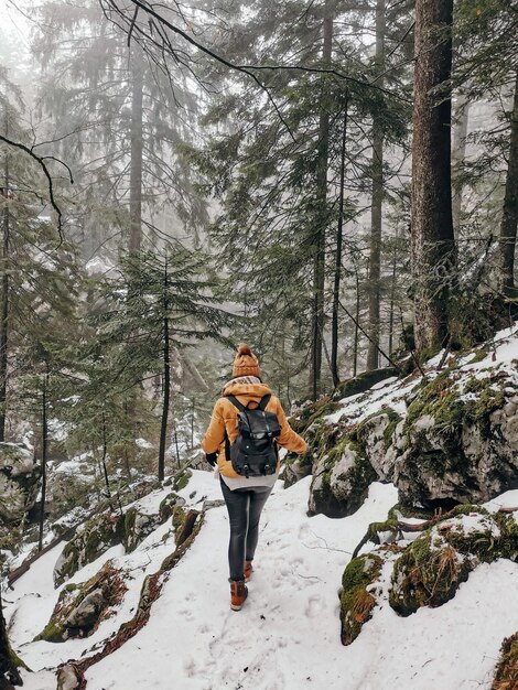 Foto vista trasera de una mujer joven caminando en el bosque de invierno en el sendero de nieve bakcpack