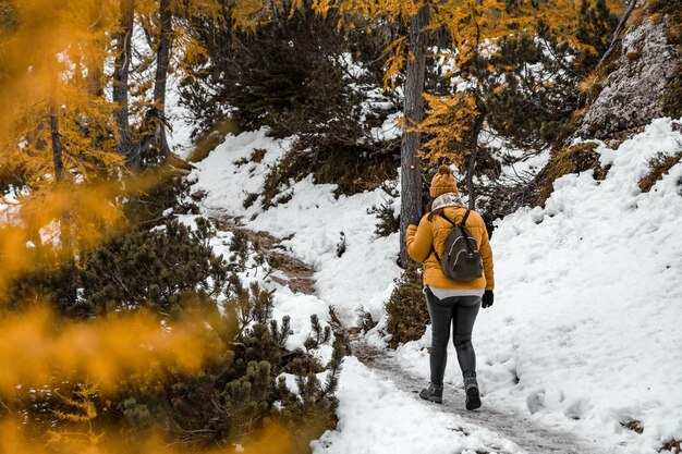 Foto vista trasera de una mujer joven caminando por un sendero nevado rodeado de laricos amarillos