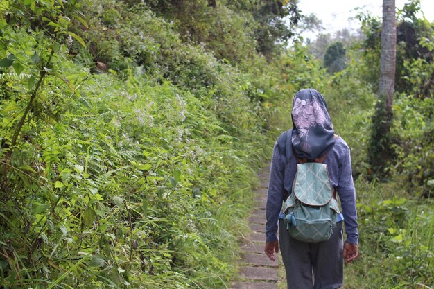 Vista trasera de una mujer con mochila caminando entre las plantas en el bosque