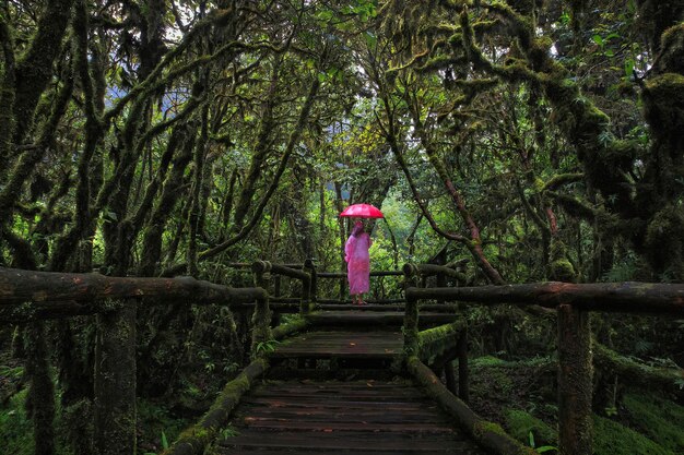 Foto vista trasera de una mujer con paraguas caminando por un puente peatonal en el bosque