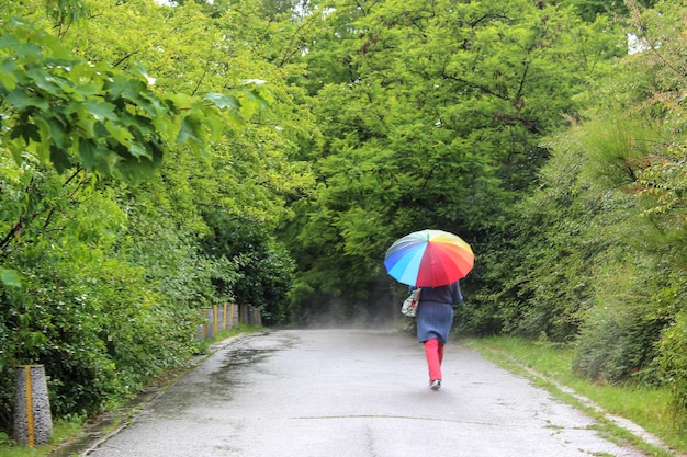 Vista trasera de una mujer con un paraguas multicolor caminando por el camino mojado contra los árboles durante el monzón