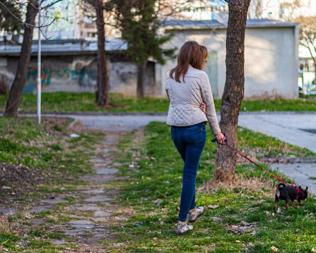 Vista trasera de una mujer con un perro caminando en el parque