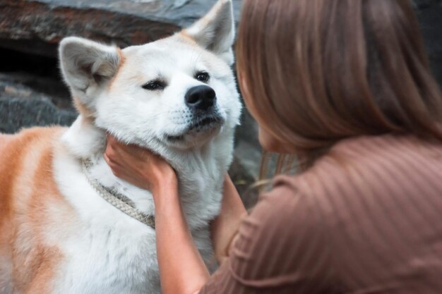 Foto vista trasera de una mujer con un perro