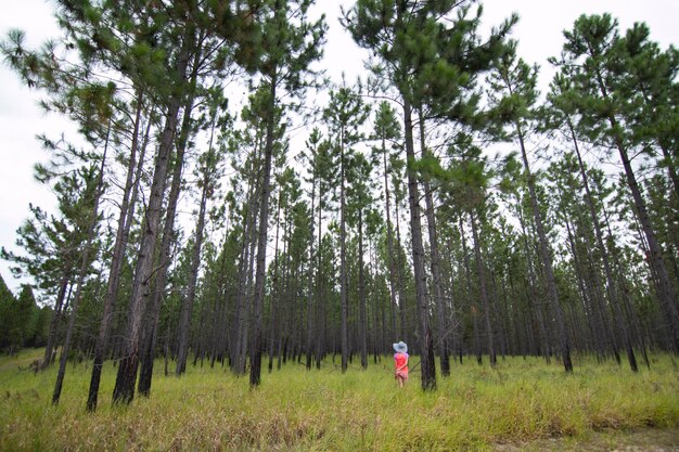Foto vista trasera de una mujer de pie en el bosque