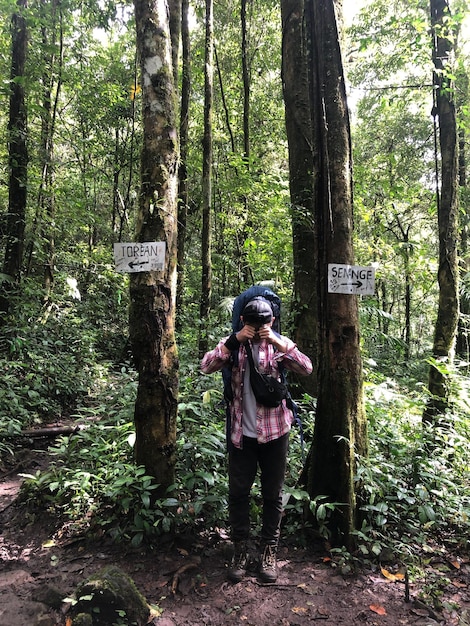 Foto vista trasera de una mujer de pie en el bosque