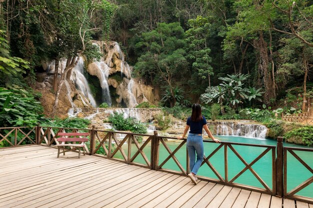 Vista trasera de una mujer de pie junto a una barandilla en el bosque