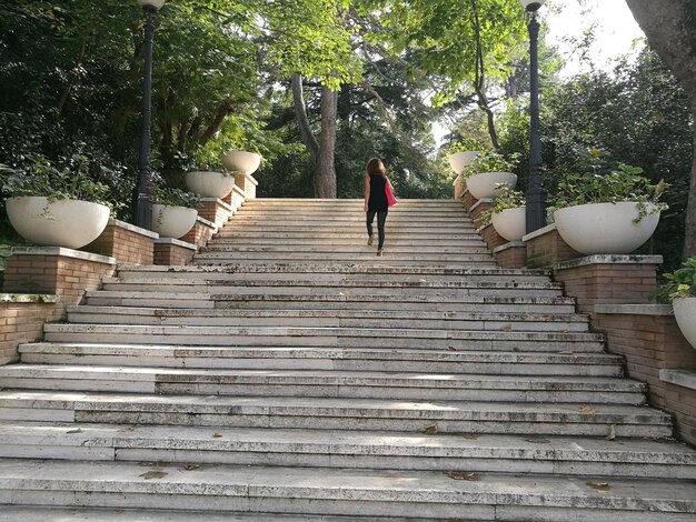 Foto vista trasera de una mujer subiendo escaleras en un parque