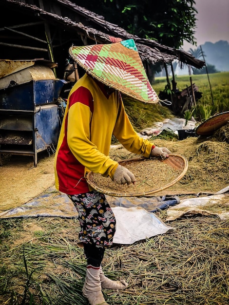 Foto vista trasera de una mujer trabajando en el campo