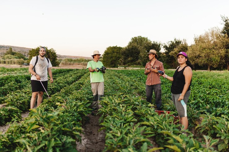 Foto vista trasera de mujeres de pie junto a las plantas contra un cielo despejado