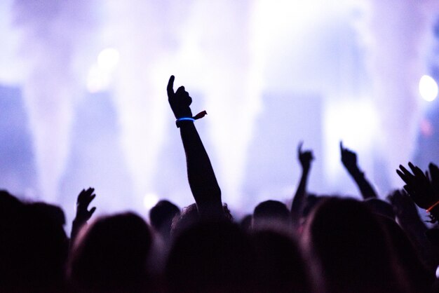Vista trasera de la multitud con los brazos extendidos en un concierto