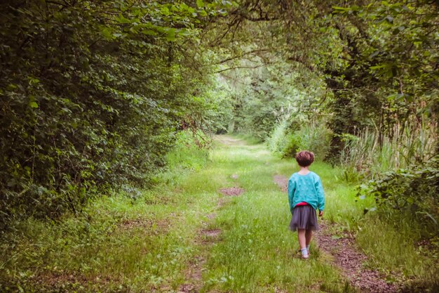 Vista trasera de una niña caminando por el sendero en medio de los árboles en el bosque