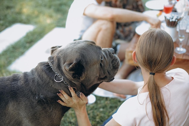 La vista trasera de una niña linda se está divirtiendo con un perro grande gris sobre una hierba verde Una niña encantadora y alegre está sentada con un perro