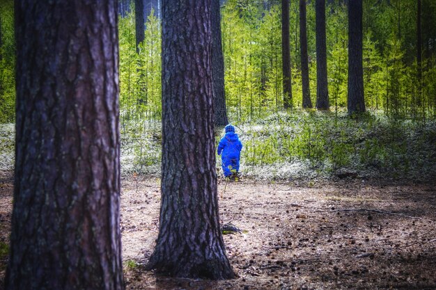 Foto vista trasera de un niño caminando entre los árboles en el bosque