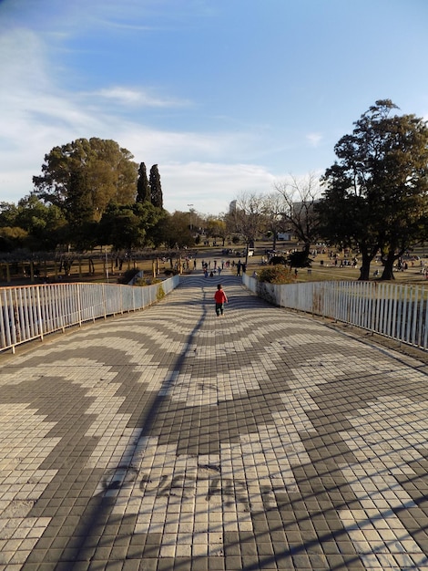 Foto vista trasera de un niño caminando por el sendero contra el cielo azul