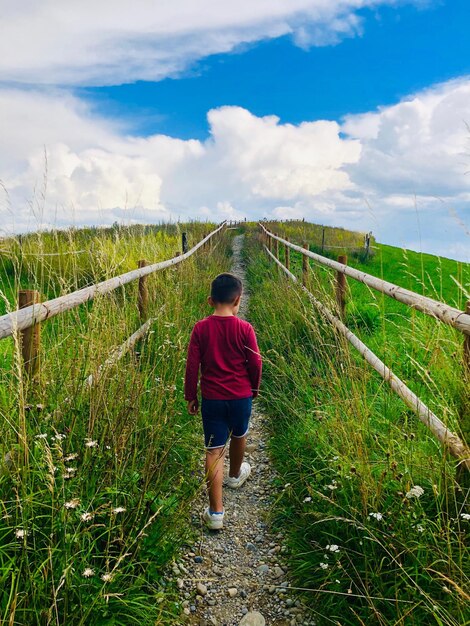 Foto vista trasera de un niño caminando por el sendero