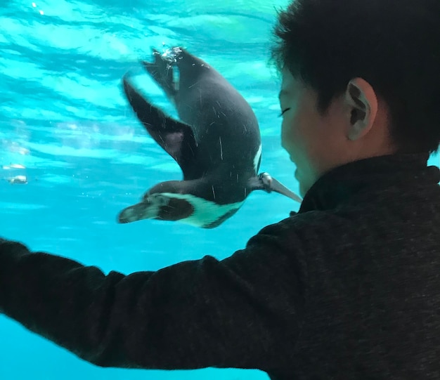 Vista trasera de un niño mirando a un pingüino en el acuario