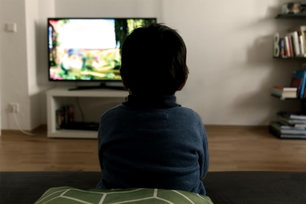 Vista trasera de un niño mirando a su casa