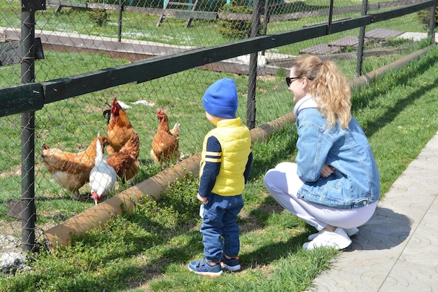 Foto vista trasera de un niño pequeño con una madre mirando a un pollo comer