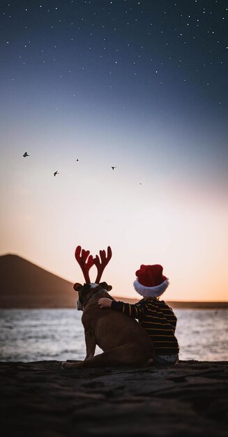 Foto vista trasera de un niño con un perro sentado en la playa contra el cielo durante la navidad