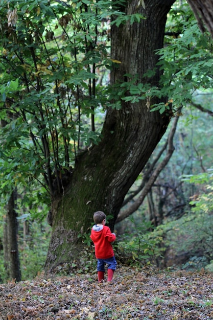 Vista trasera de un niño de pie en el bosque