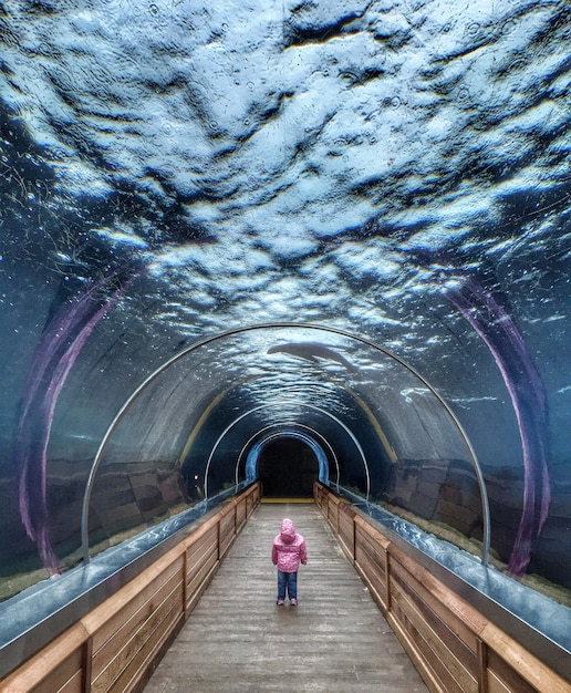 Foto vista trasera de un niño de pie bajo el túnel del acuario