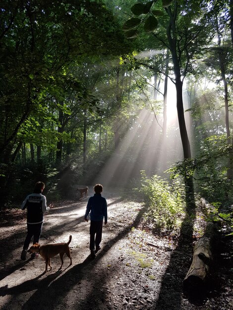 Foto vista trasera de niños caminando por el bosque