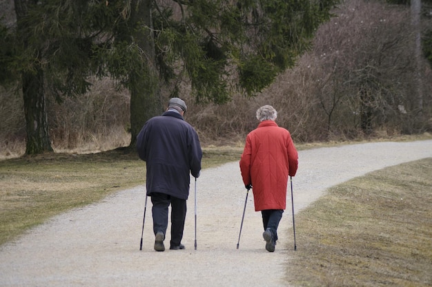 Foto vista trasera de una pareja de ancianos caminando por la carretera