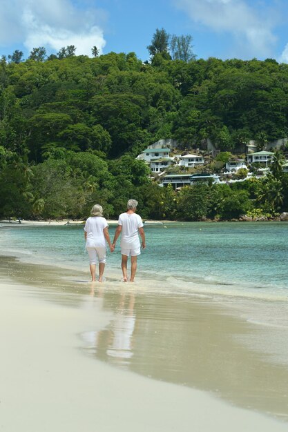 Vista trasera de la pareja de ancianos caminando en la playa de arena