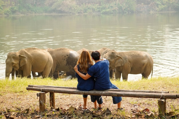 Vista trasera de una pareja joven mirando una manada de elefantes asiáticos bañándose en el río del parque nacional