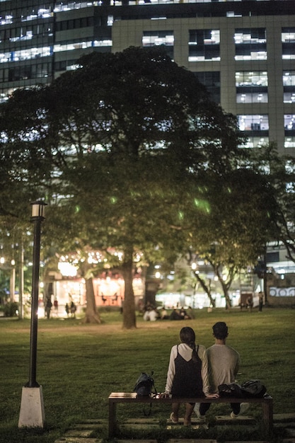 Vista trasera de una pareja sentada en un parque por la noche