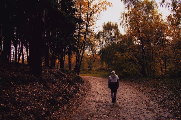 Foto vista trasera de una persona caminando por un camino de tierra en el bosque durante el otoño