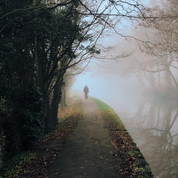 Foto vista trasera de una persona caminando por un sendero en la niebla