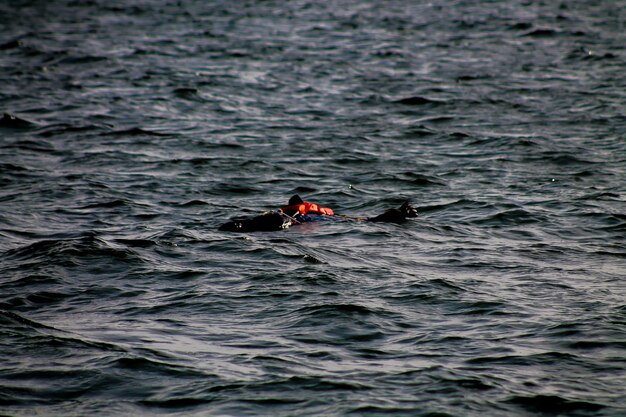 Foto vista trasera de una persona en el mar