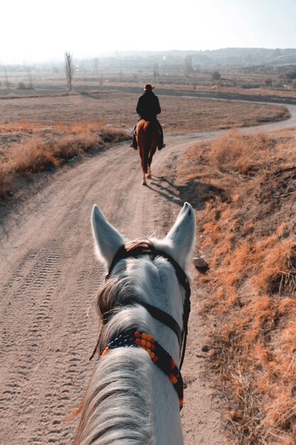 Foto vista trasera de una persona montando a caballo en una carretera de campo