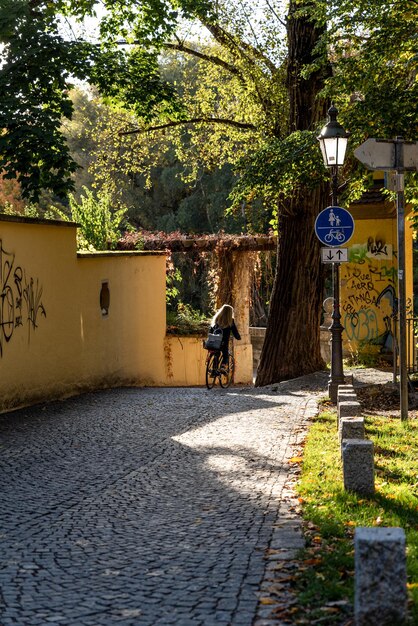 Vista trasera de una persona en un sendero junto a un edificio