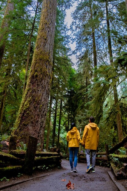 Foto vista trasera de personas caminando en el bosque