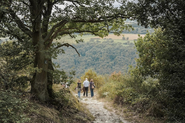 Vista trasera de personas caminando por un sendero de tierra
