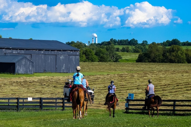 Foto vista trasera de personas montando caballos en el campo