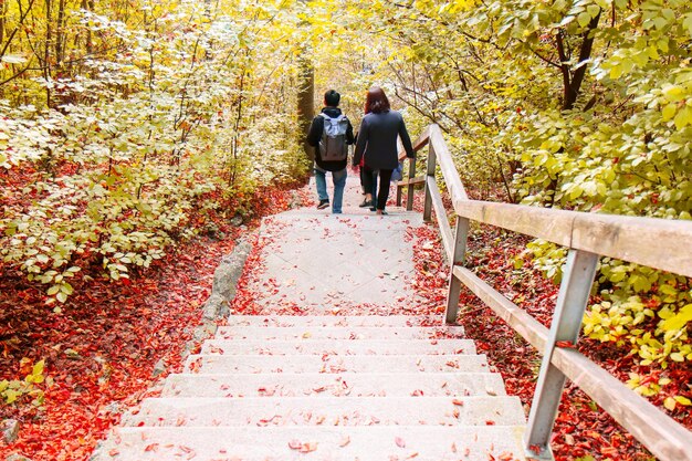 Foto vista trasera de personas que descienden las escaleras en el parque durante el otoño