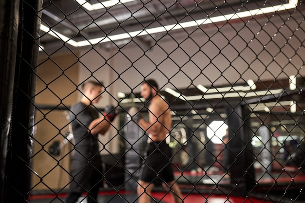 Vista a través de la jaula, dos hombres deportivos peleando, culturistas golpeándose entre sí, entrenamiento en artes marciales, boxeo, concepto de mma