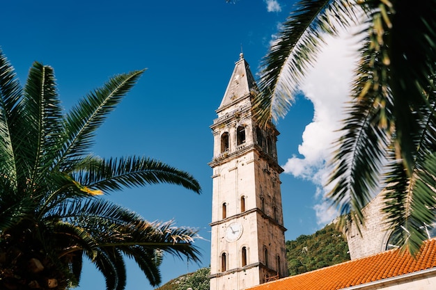 Vista a través de las ramas de palma verdes al campanario de la iglesia de San Nicolás Perast Montenegro
