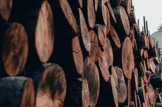 vista de troncos de madera. Estilo de vida rural. surtido de troncos de madera.