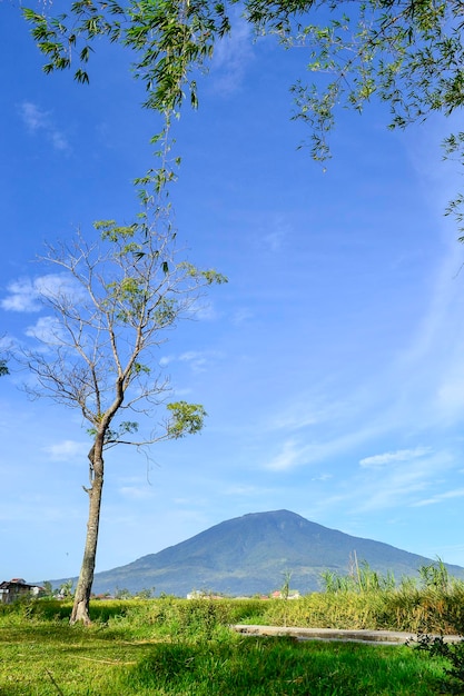 Vista tropical escénica con hermoso día y cielo