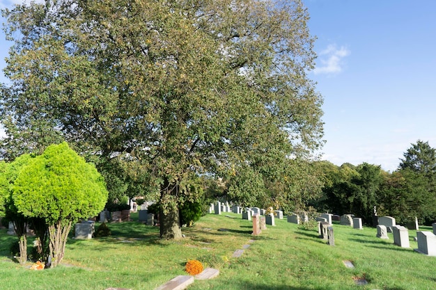 Vista de tumbas y tumbas en el cementerio. Hierba y árboles alrededor