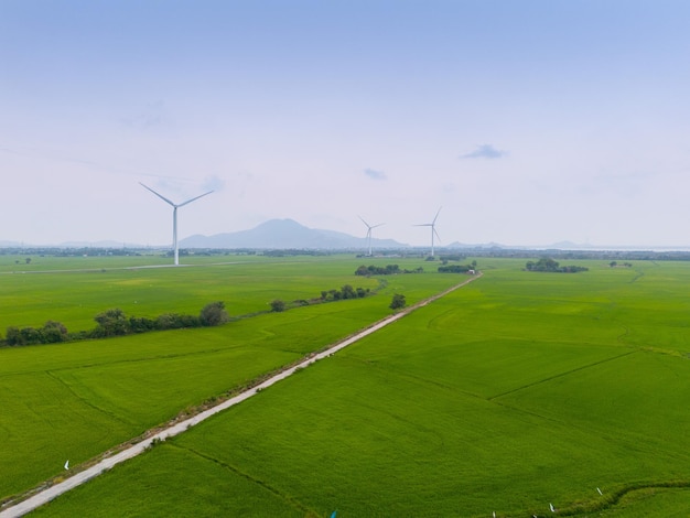 vista de la turbina de energía verde molino eólico para la producción de energía eléctrica Turbinas eólicas que generan electricidad en el campo de arroz en la provincia de Phan Rang Ninh Thuan, Vietnam