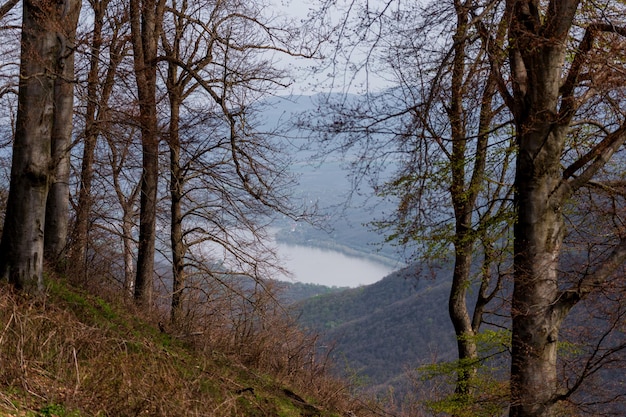 Una vista de un valle de montaña con un lago en primer plano