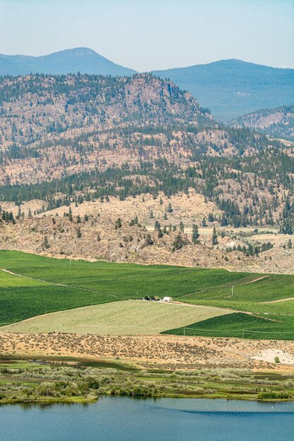 Vista del valle de Okanagan con terreno agrícola y huerto en la orilla del lago